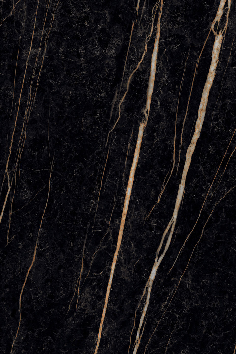 Sahara Noir